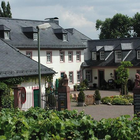 مبيت وإفطار التيف Residenz Weingut Schloss Reinhartshausen المظهر الخارجي الصورة